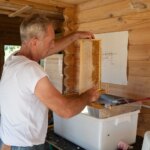 Apiculture française en déclin : 5 conseils pour choisir un miel de qualité