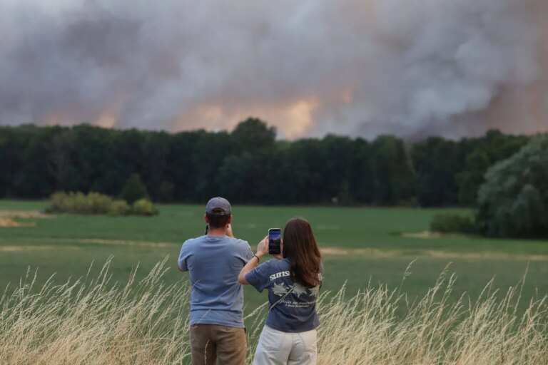 Incendies à Fontainebleau : les riverains intensifient leur recherche des responsables.