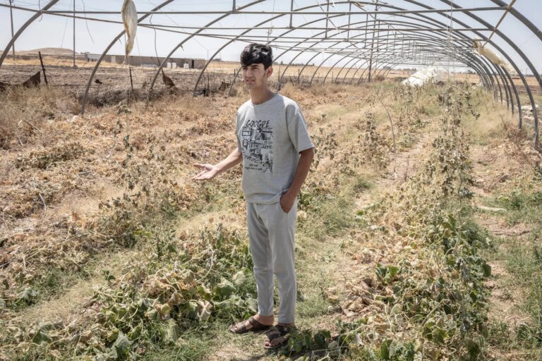 En Irak, la jeunesse abandonne l’agriculture face à la crise économique persistante