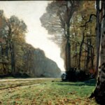 La Forêt de Fontainebleau se distingue des espaces naturels par son écosystème unique.