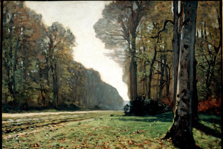 La Forêt de Fontainebleau se distingue des espaces naturels par son écosystème unique.