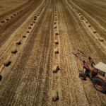 L’Assemblée nationale adopte la loi d’urgence agricole pour soutenir le secteur agricole.