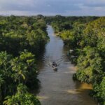 Brésil : les feux en Amazonie atteignent un niveau historiquement bas en 2025