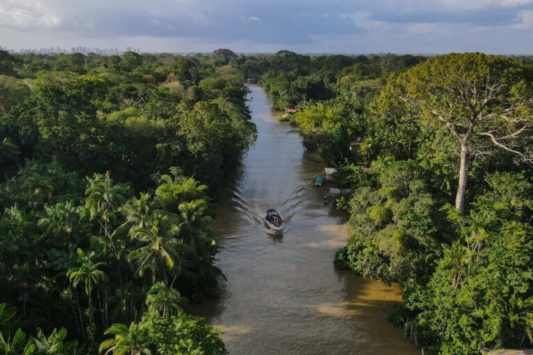 Brésil : les feux en Amazonie atteignent un niveau historiquement bas en 2025
