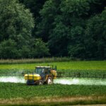 Flupyradifurone : le pesticide controversé réintroduit par la loi agricole française