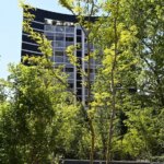 L’appel de 50 parlementaires pour intégrer l’adaptation au changement climatique dans les politiques publiques