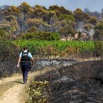 Incendies en Gironde : 2 000 hectares brûlés, renforcement de la flotte prévu.