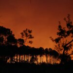 Incendies en forêt des Landes : vulnérabilité des sols marécageux et pins observée.