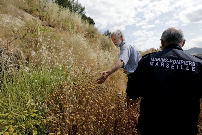 Incendies : le débroussaillement collectif comme solution pour protéger les villages.