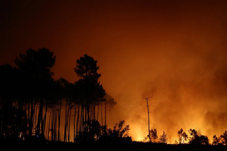 Incendies de forêt en France : une saison préoccupante pour les autorités environnementales.