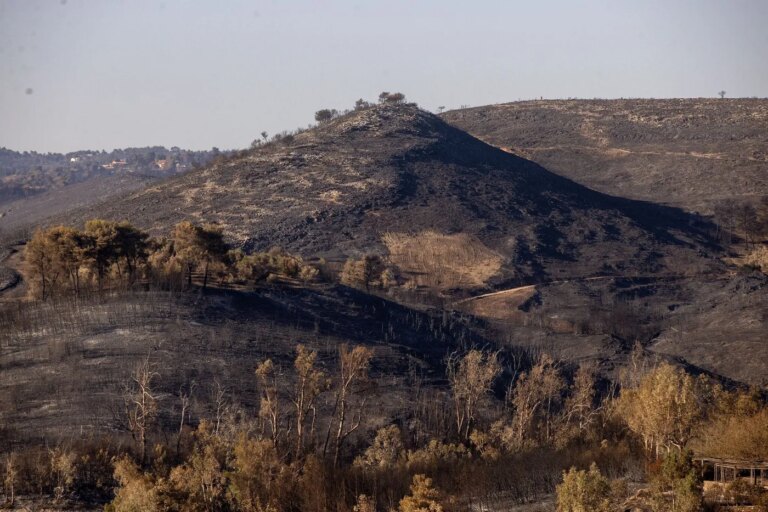 Grèce : utilisation de drones et satellites pour renforcer la lutte contre les incendies.