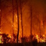 Feu convectif et pyrocumulonimbus : nouvelles terminologies des incendies en France.