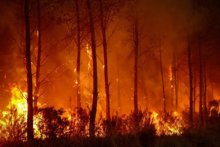 Feu convectif et pyrocumulonimbus : nouvelles terminologies des incendies en France.