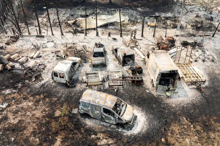 Incendies en Gironde : les entreprises locales face à des pertes économiques majeures