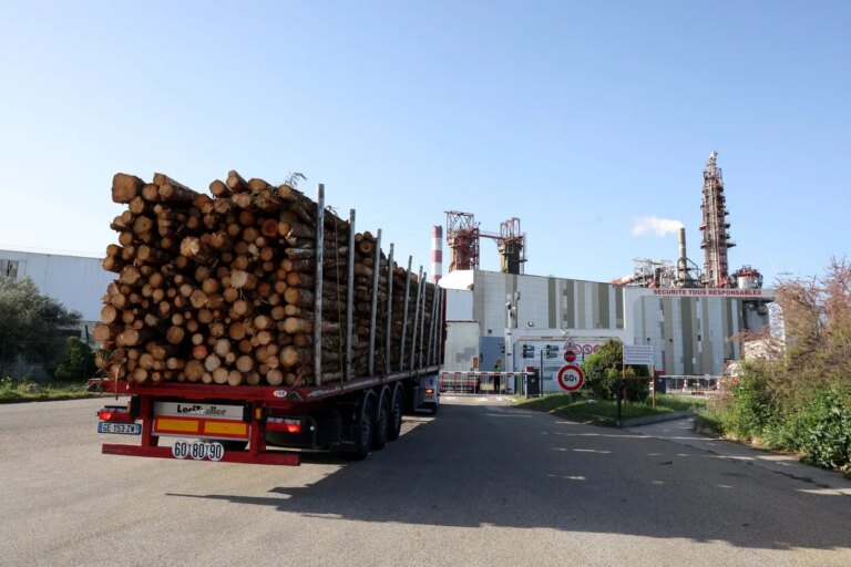 Liquidation judiciaire de l’usine Fibre Excellence à Tarascon, 200 emplois menacés