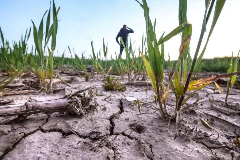 Sécheresse des sols en France : 96 % du territoire touché par un niveau record.