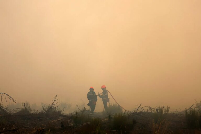 Incendies : les pompiers face aux risques des fumées toxiques lors des interventions