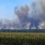 Incendies en Gironde : le mégafeu stabilisé, reprise de feu à Fontainebleau.