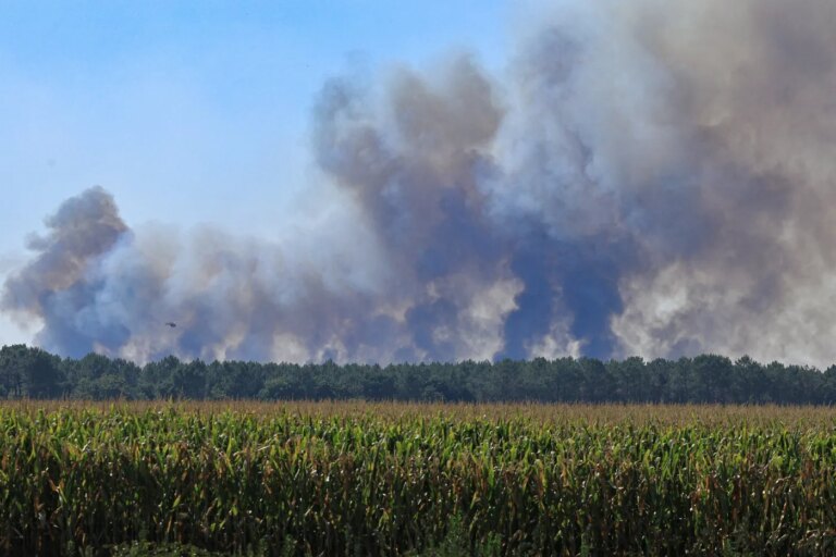 Incendies en Gironde : le mégafeu stabilisé, reprise de feu à Fontainebleau.