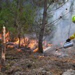 Incendies en Gironde : tensions croissantes parmi les pompiers face aux feux persistants