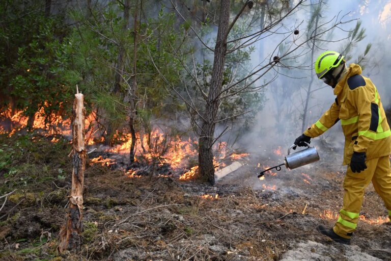 Incendies en Gironde : tensions croissantes parmi les pompiers face aux feux persistants