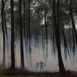 Incendies en Gironde : 3 300 pompiers mobilisés, feu contenu dans son périmètre.