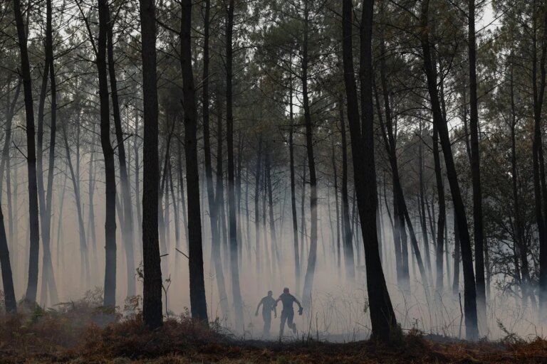 Incendies en Gironde : 3 300 pompiers mobilisés, feu contenu dans son périmètre.