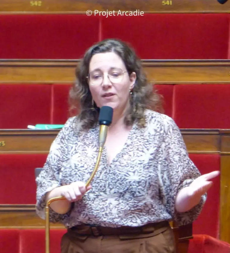 Motion de censure écologiste : dépôt imminent du texte à l’Assemblée nationale