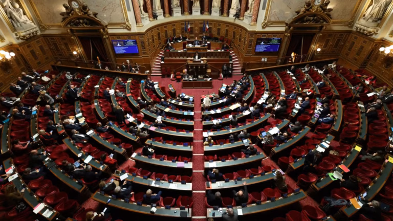 Le Sénat sanctionne la sénatrice Christine Herzog pour harcèlement moral.