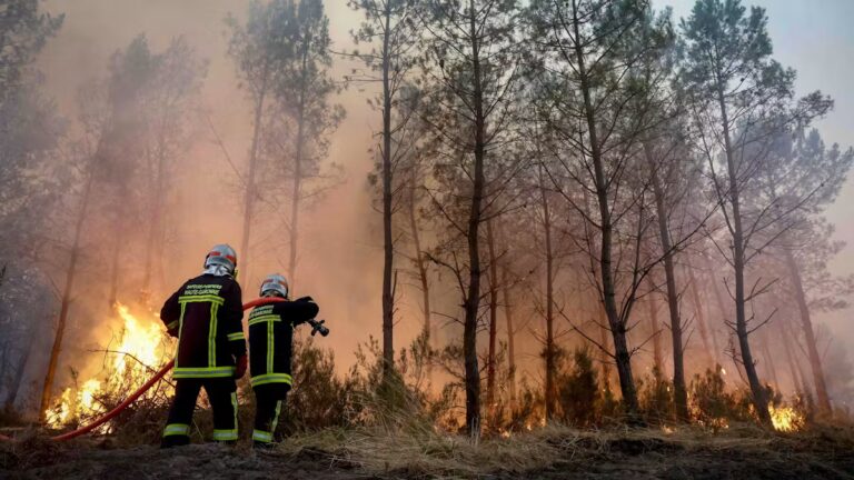 Incendie en Gironde : les pompiers alertent sur la hausse des risques liés à la chaleur.