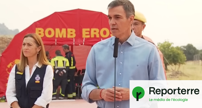Incendies en Espagne : Pedro Sánchez propose un pacte d’État sur l’urgence climatique