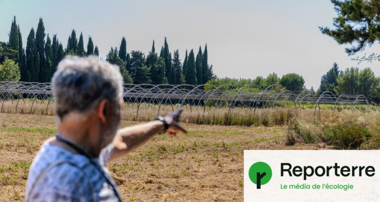 Nouveaux maires d’extrême droite en France bloquent des projets écologiques locaux.