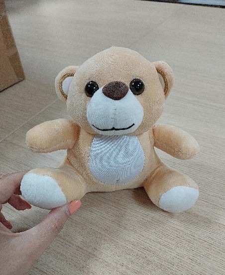 Ours en peluche