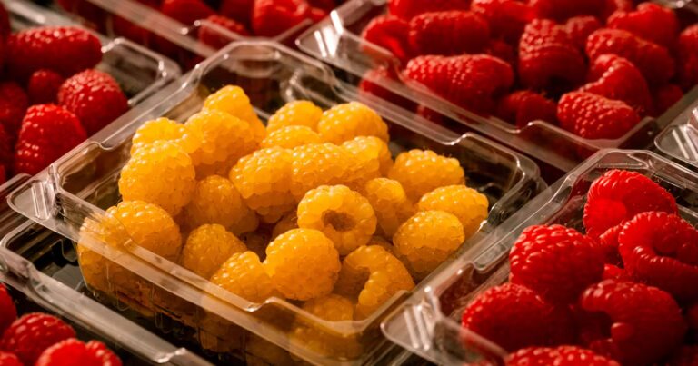 Mystérieuse maladie parasitaire : enquête sur l’alimentation des victimes aux États-Unis.
