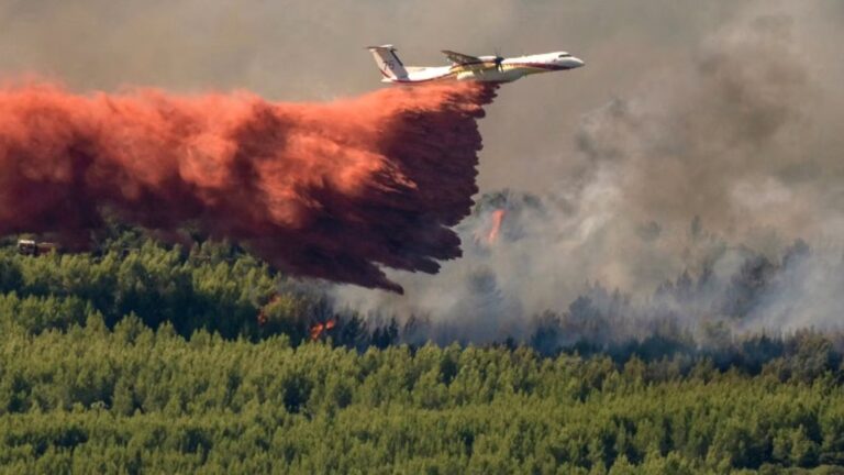 « 7 000 départs de feu en France : point sur les incendies en cours, annonce Lecornu »