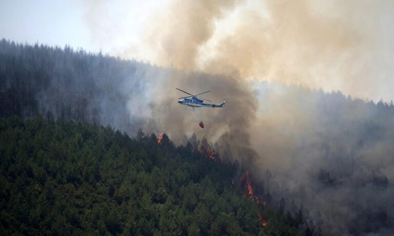 Prévention des incendies en Europe du Sud : défis rencontrés par les autorités locales
