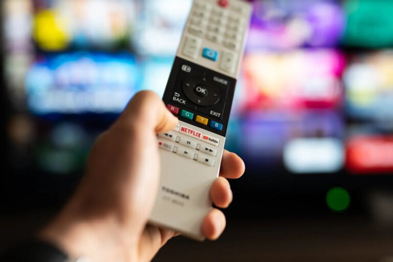 Netflix, Disney+ et Amazon Prime Video contestent le fléchage de 20 % vers l’animation et le documentaire
