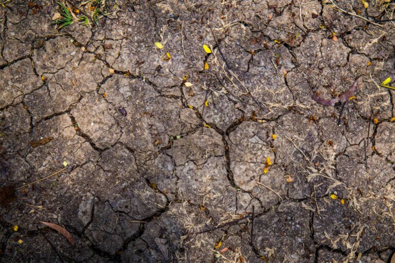Vagues de canicule en France entraînent un risque pour la croissance économique.