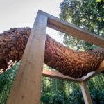 La Bambouseraie en Cévennes : un site d&rsquo;écocréation pour la biodiversité et l&rsquo;éducation environnementale.