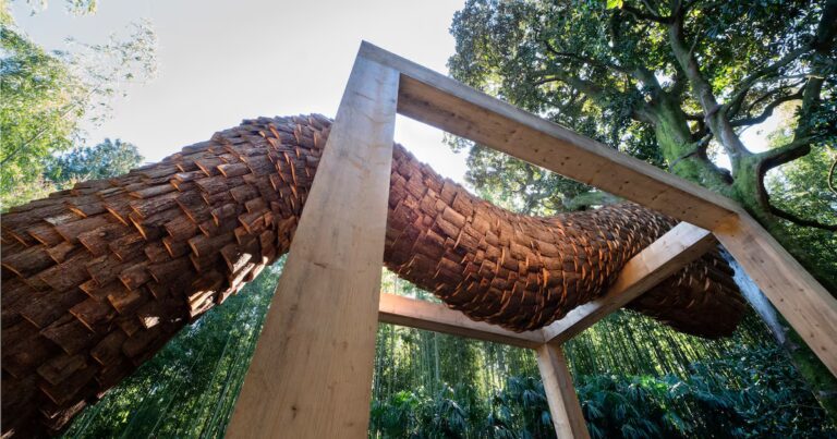 La Bambouseraie en Cévennes : un site d’écocréation pour la biodiversité et l’éducation environnementale.