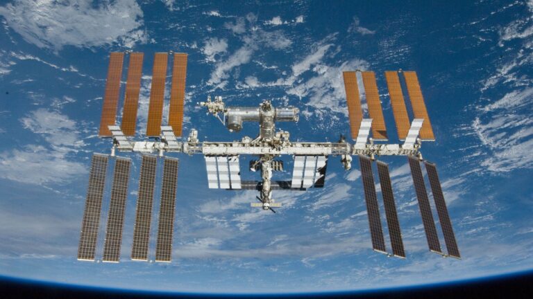Tissu rénal et hépatique bioprinté dans l’espace pour la première fois par des chercheurs.