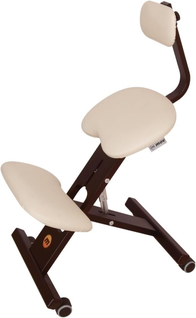 Ergo Office BV présente une chaise ergonomique ajustable avec soutien lombaire pour le travail.