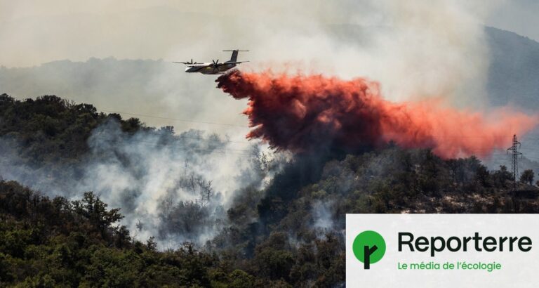 Incendies : le produit rouge utilisé pour lutter contre les feux en forêt en France.