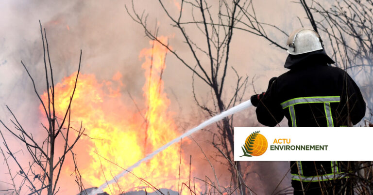 Incendies de forêts : le Gouvernement français augmente les financements pour la résilience des massifs.