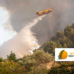 Incendies de forêts en France : 116 000 hectares brûlés, assureurs et État mobilisés.