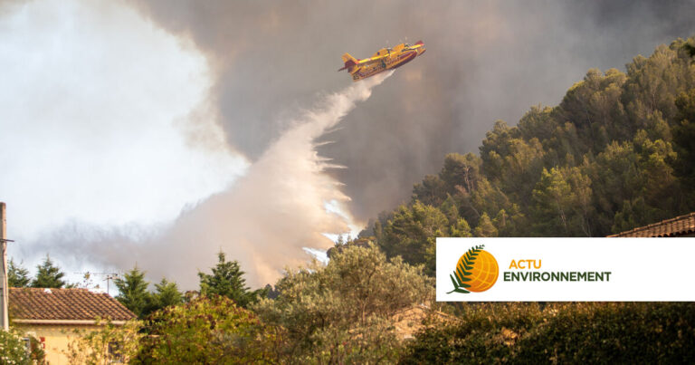 Incendies de forêts en France : 116 000 hectares brûlés, assureurs et État mobilisés.