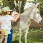 Activités adaptées aux enfants de moins de 6 ans à Paris cet été