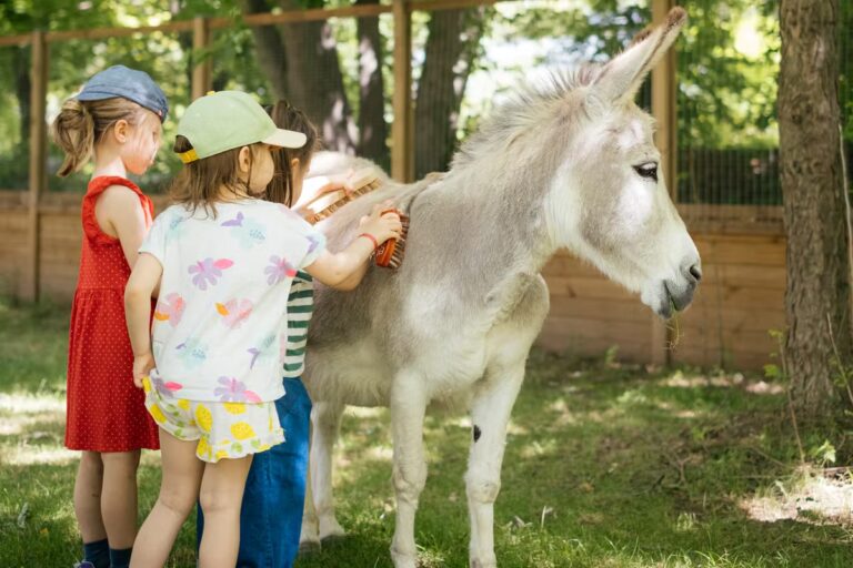 Activités adaptées aux enfants de moins de 6 ans à Paris cet été