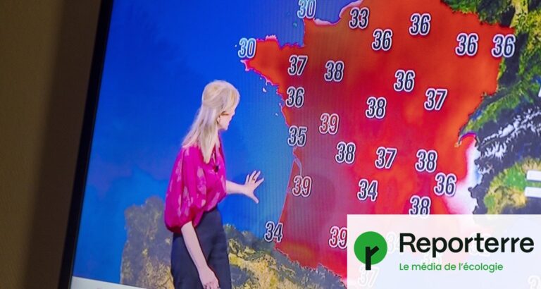 Canicule : des scientifiques critiqués pour leurs recommandations jugées autoritaires.