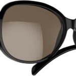 Lunettes IA multilingues : un traducteur sans fil pour une communication interactive.